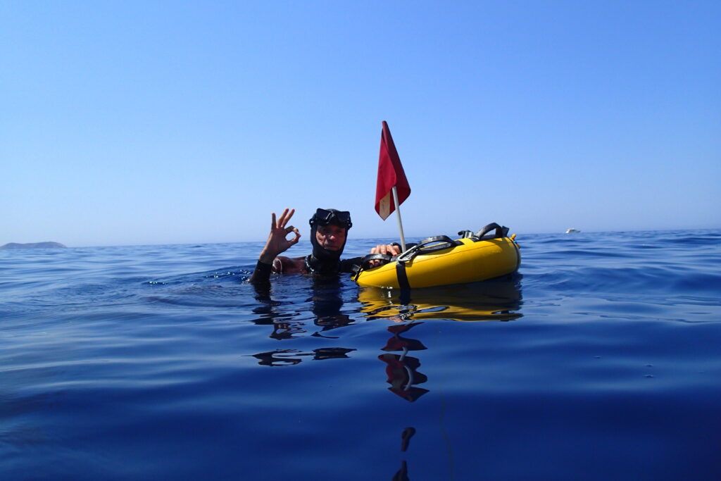 Saltfish Freediving Ibiza
